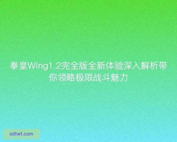 拳皇Wing1.2完全版全新体验深入解析带你领略极限战斗魅力