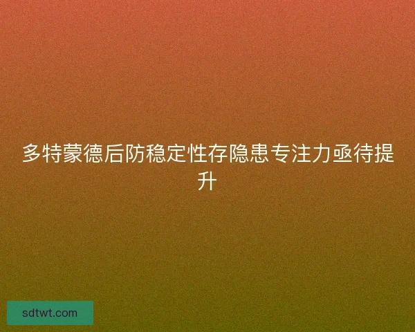 多特蒙德后防稳定性存隐患专注力亟待提升
