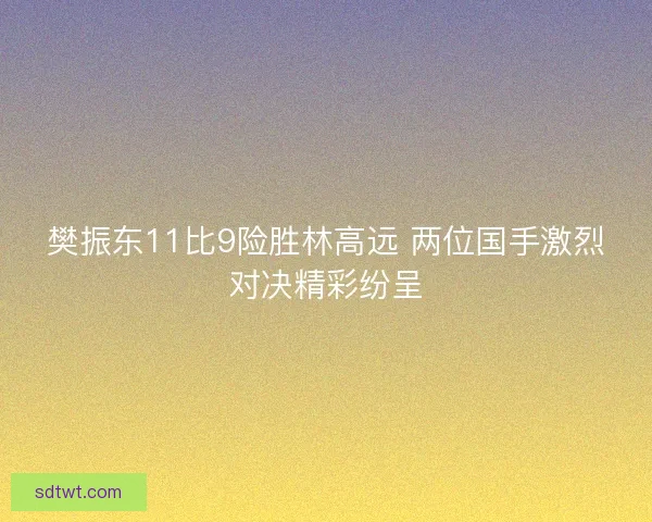 樊振东11比9险胜林高远 两位国手激烈对决精彩纷呈