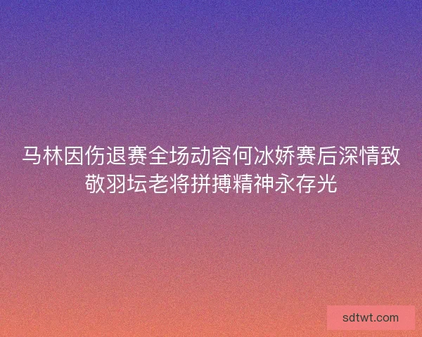 马林因伤退赛全场动容何冰娇赛后深情致敬羽坛老将拼搏精神永存光